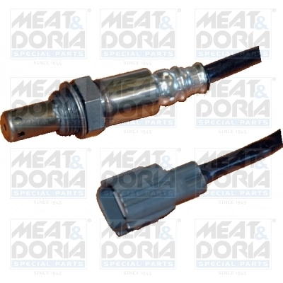 Oxygen Sensor